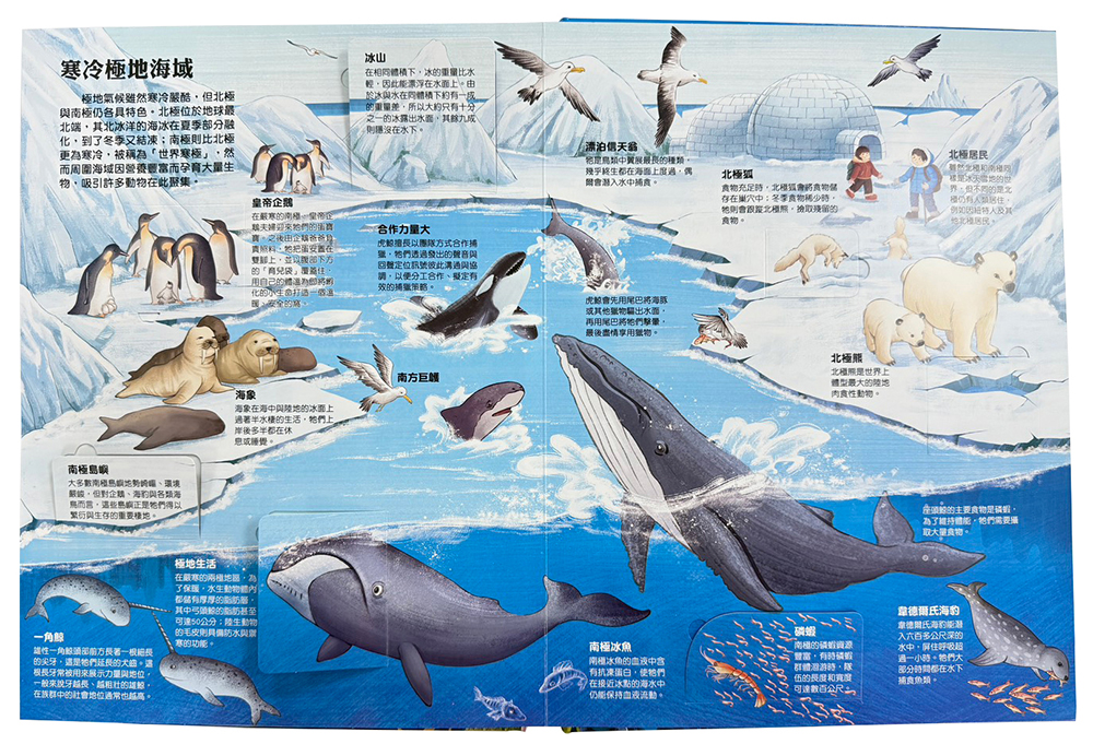 大知識大百科3D立體書：大海洋